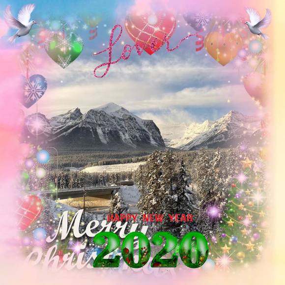 Meet your Posher, Darla - Picture 1 of 1